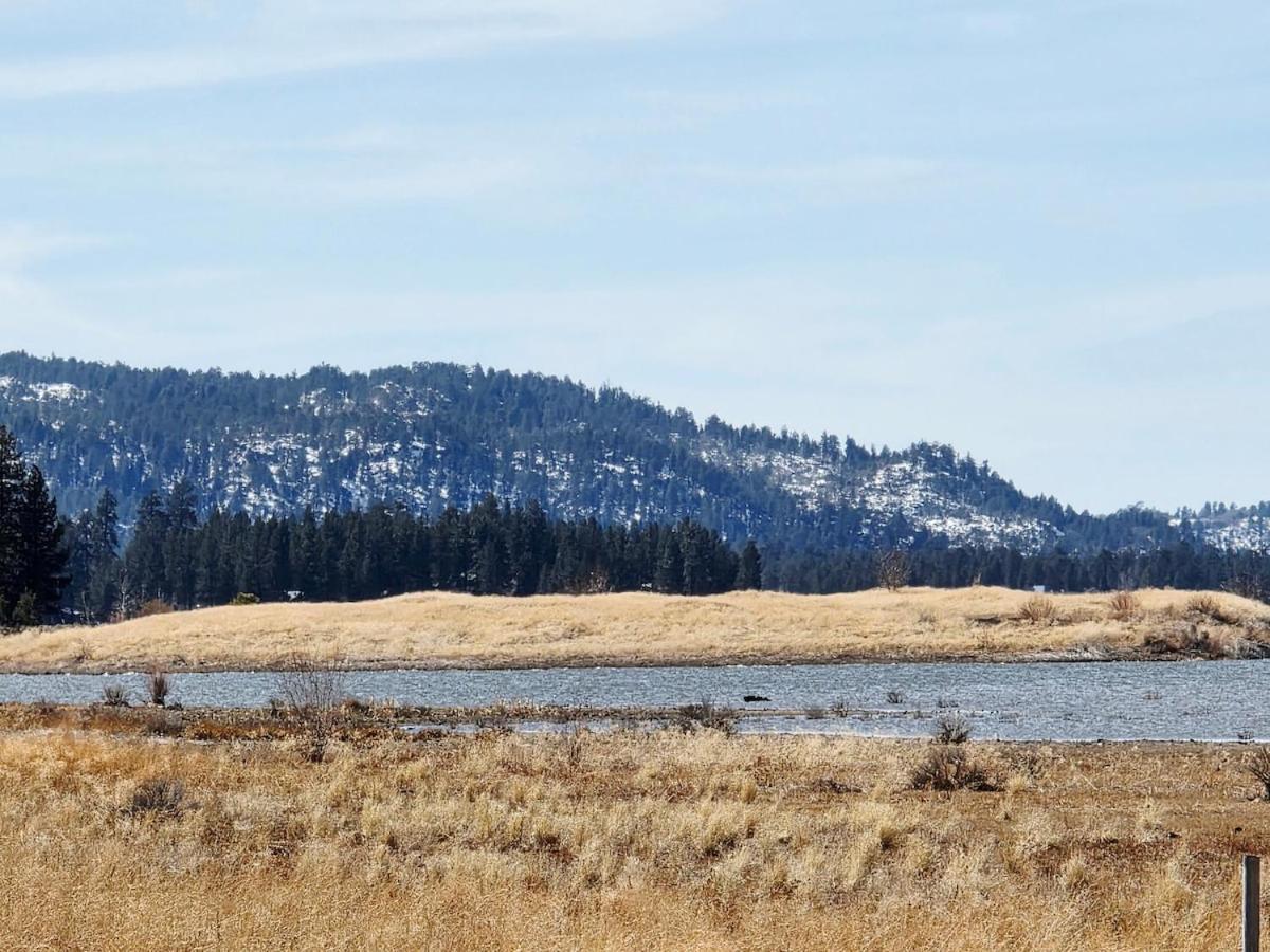 Bear Escapes II Affordable Luxury Cabin Sugarloaf Eksteriør billede