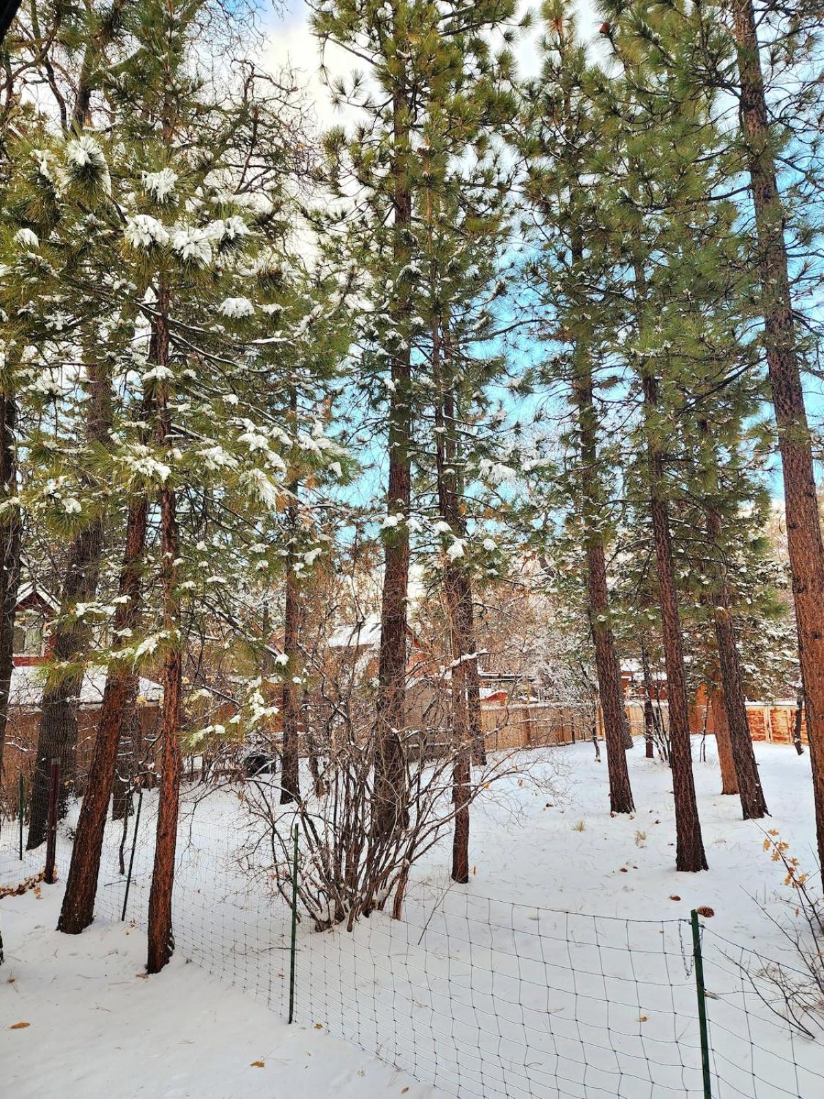 Bear Escapes II Affordable Luxury Cabin Sugarloaf Eksteriør billede